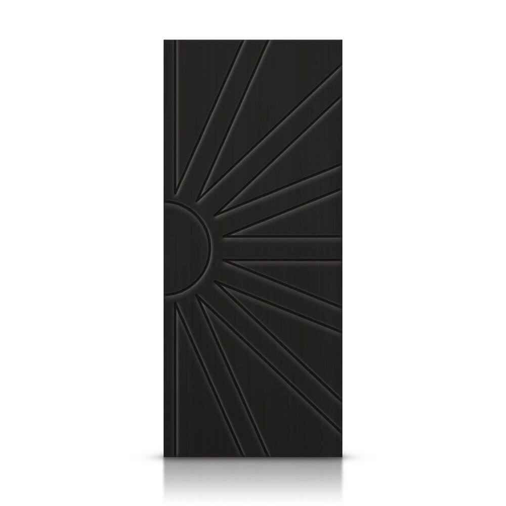 24 in. x 84 in. Hollow Core Black Stained Composite MDF Interior Door Slab price history on PriceWatchPro