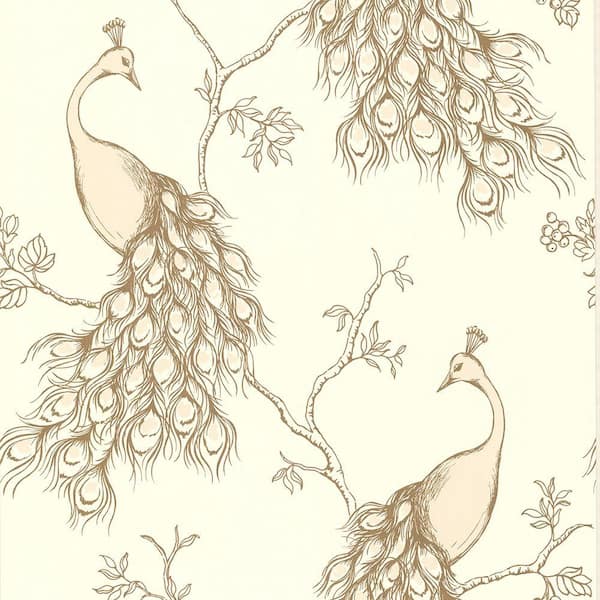 Brewster Prevost Blush Peacock Blush Wallpaper Sample