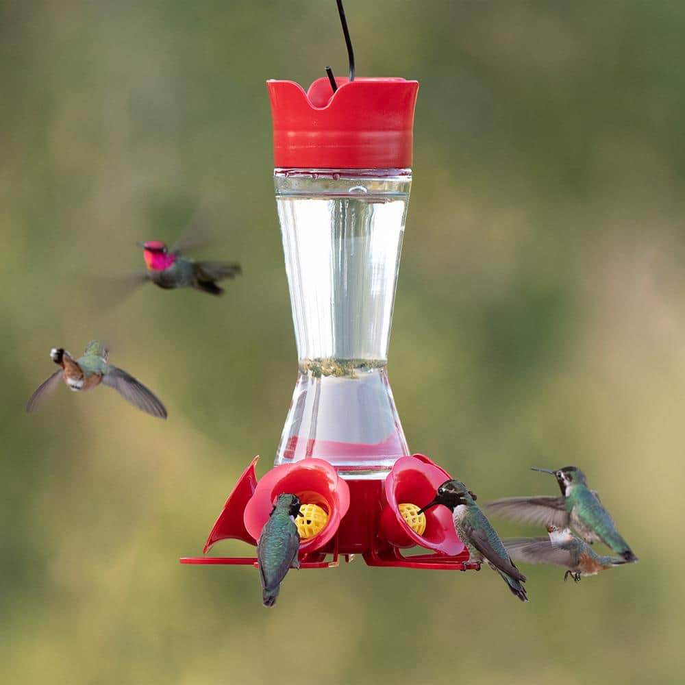 Red Glass and Plastic Hanging Hummingbird Feeder, 11-inch