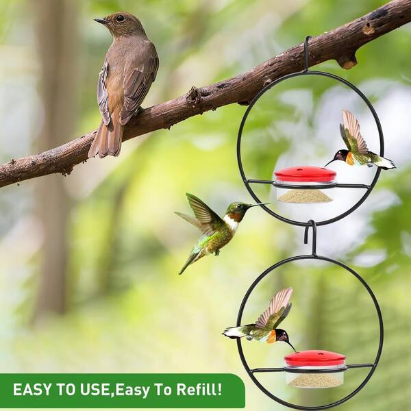 thumbnail image 2 of Leak Proof Hummingbird Feeder - Glass Bottle With Multiple Ports 2 of 10