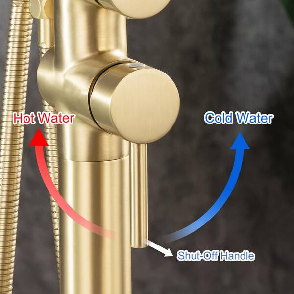 Have a question about RAINLEX Chino Singe-Handle Freestanding