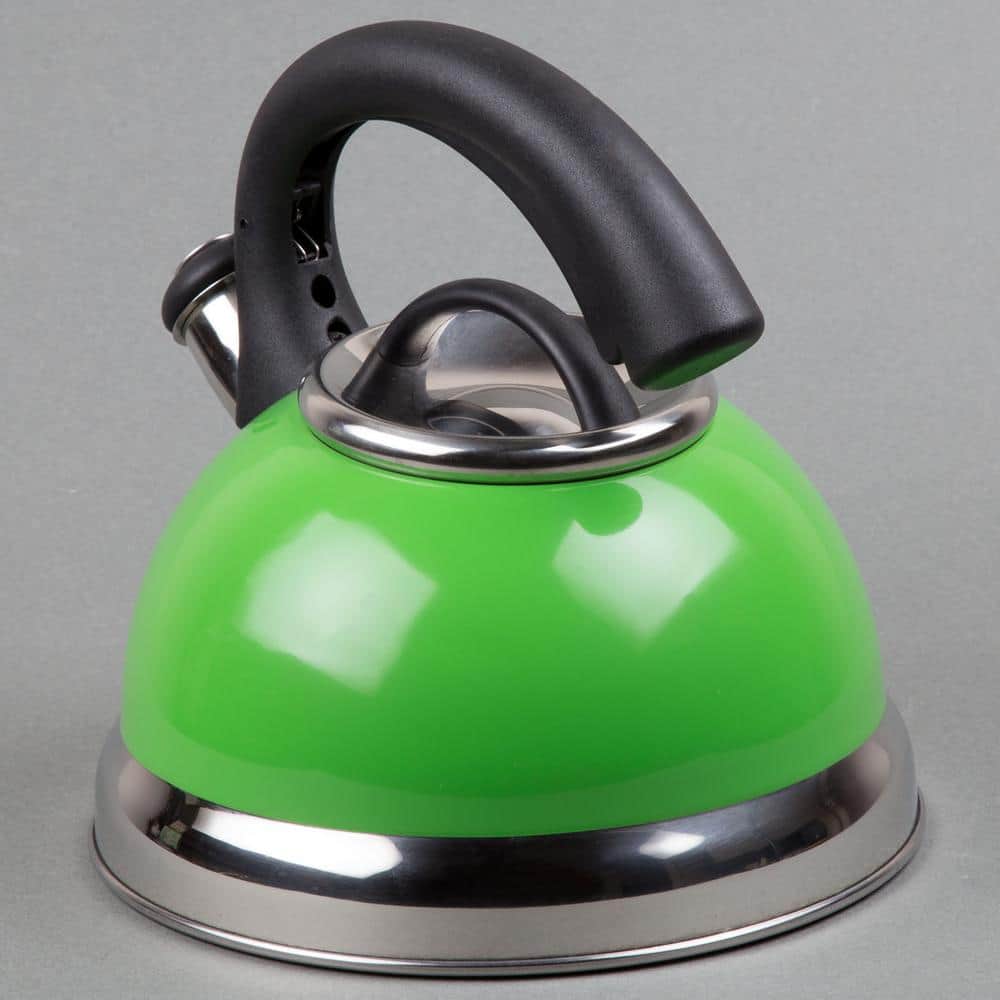 Green Stainless Steel Whistling Tea Kettle with Black Handle