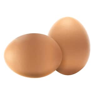 Wooden Decoy Chicken Nesting Eggs Brown Training Eggs (Coverage Area - 0-Acres ) In-Ground (Set of 2)