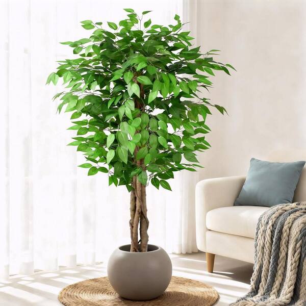 5 ft. Ficus Artificial Olive Tree in Pot LAN1Y102 - The Home Depot