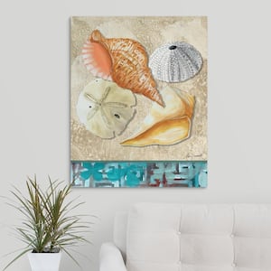 "Seashells on the Seashore" by Megan Duncanson Canvas Wall Art