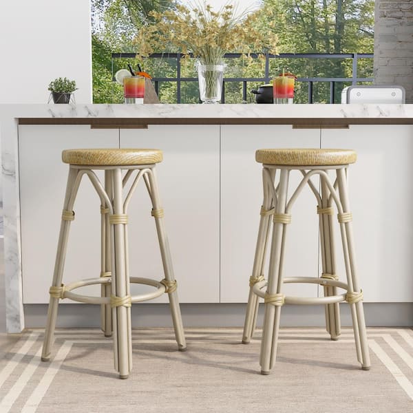 Furniture of America Shua 26 in. Light Brown and Natural Tone Aluminum Outdoor Bar Stool (Set of 2)