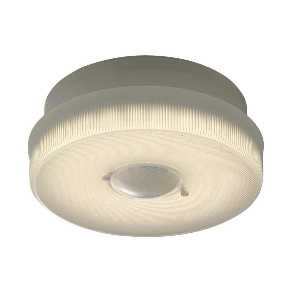 White Textured Glass Medium Indoor/Outdoor LED Flush Mount Light