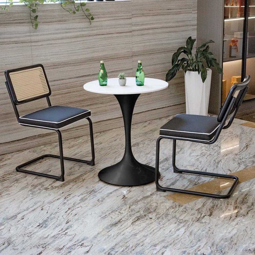 Outdoor Metal Lounge Chair With Black Cushion, Black Metal Base, Natural Rattan Backrest Set of 2 price history on PriceWatchPro
