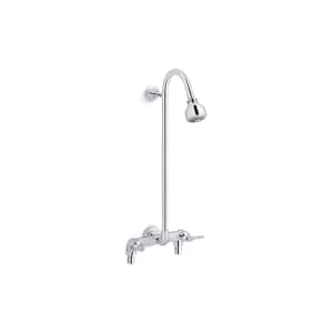 Triton Bowe Double-Handle 1-Spray Pattern Shower Faucet 2.5 GPM with Vandal Resistant in Polished Chrome