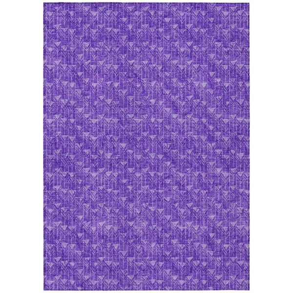 Purple 3 ft. x 5 ft. Geometric Indoor / Outdoor Area Rug