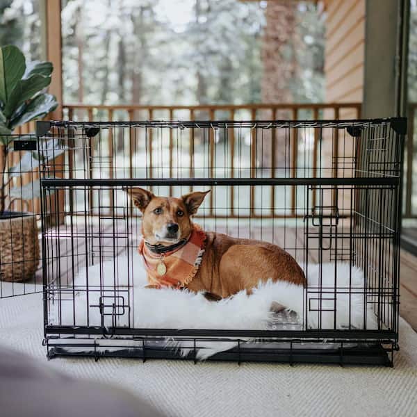 Lucky Dog Dwell Series 36 in. W x 27 in. H x 24 in. D Black