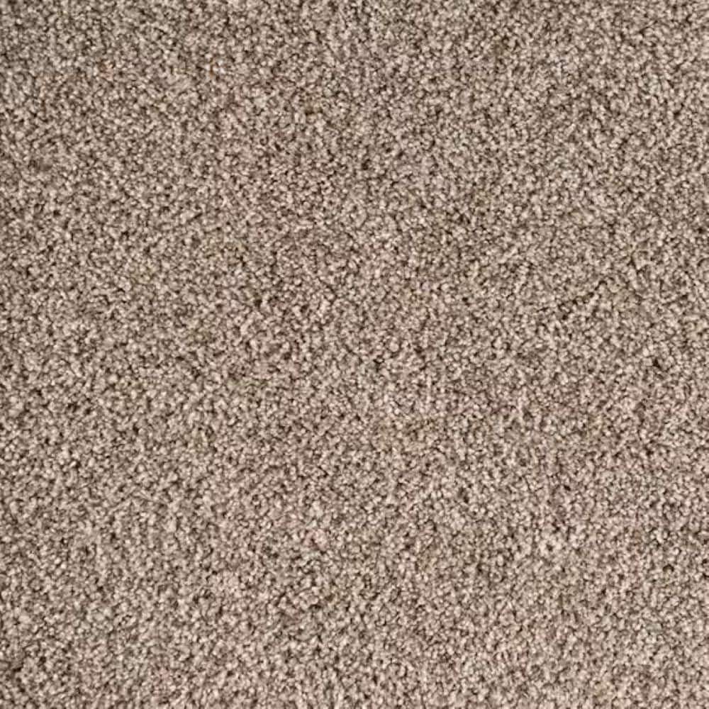 8 in. x 8 in. Texture Carpet Sample-Rockaway II-Color Crossroads price history on PriceWatchPro