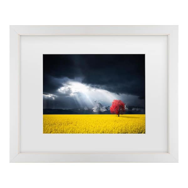 Trademark Fine Art Bess Hamiti a Red Tree in the Canola Meadow Matted Framed Photography Wall Art 18 in. x 22 in.