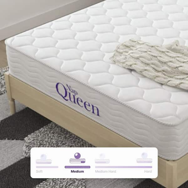  NapQueen Twin-XL Mattress, 6 Inch Elsa Innerspring