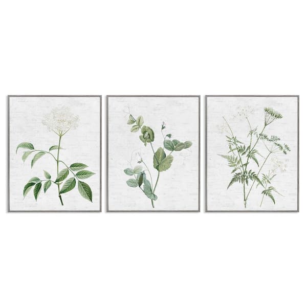 Soft White Botanicals by Lettered and Lined 3-Pieces Gray Framed Nature Giclee Art Print 30 in. x 24 in.