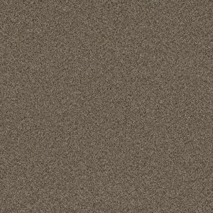 Trendy Threads Plus II Fremont Brown 48 oz. SD Polyester Texture Installed Carpet