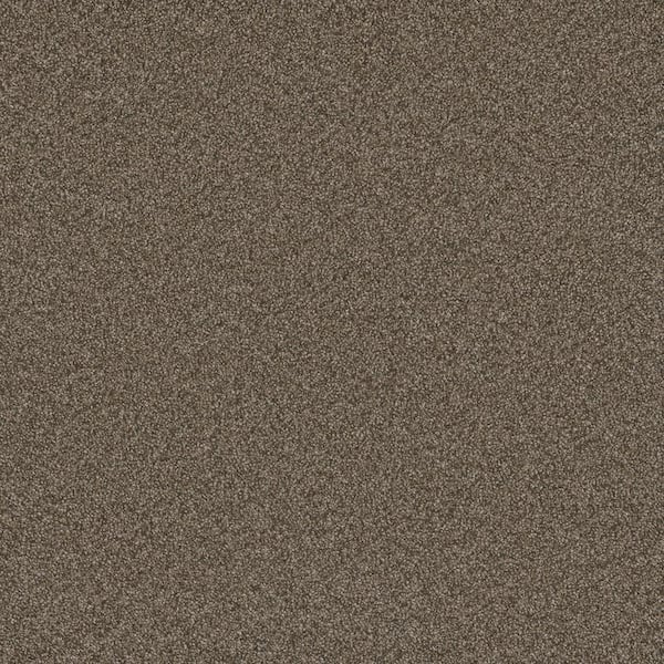 Home Decorators Collection Trendy Threads Plus II - Fremont - Brown 48 oz. SD Polyester Texture Installed Carpet