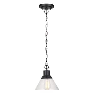 1-Light Matte Black Outdoor Indoor Pendant with Clear Seeded Glass Shade, Vintage Incandescent Bulb Included