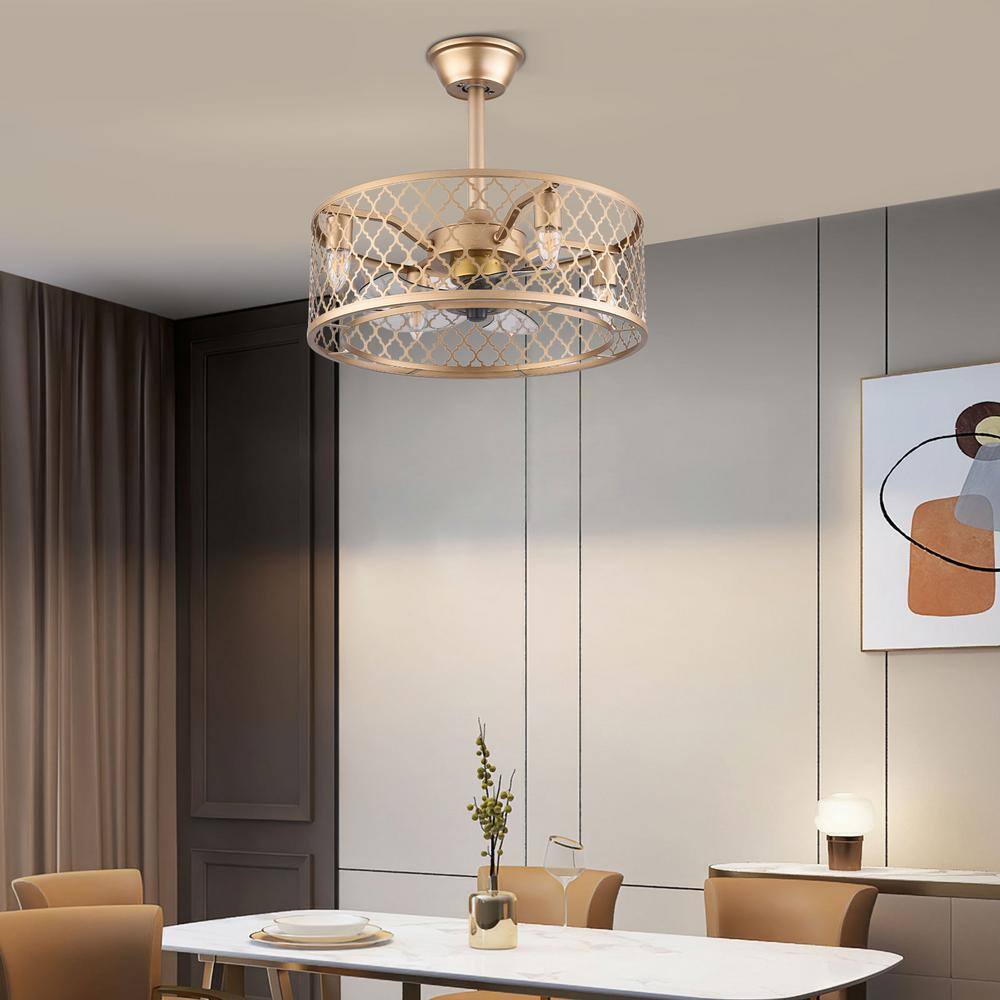 20-Inch Gold Metal Caged Ceiling Fan with Remote and Lighting