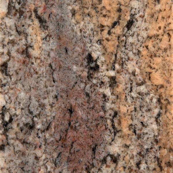 STONEMARK 3 in. x 3 in. Granite Countertop Sample in Crema Bordeaux