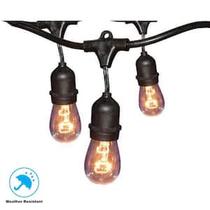 12-Light 24 ft. Black Indoor/Outdoor Commercial Incandescent Edison String Light