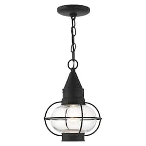 Hennington 11.75 in. 1-Light Black Dimmable Outdoor Pendant Light with Clear Glass and No Bulbs Included