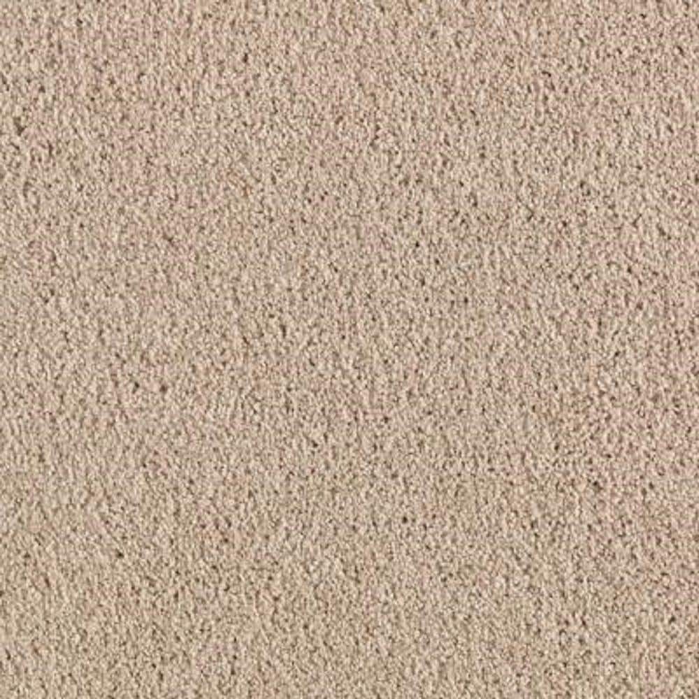 8 in. x 8 in. Texture Carpet Sample - Ambrosina II -Color Porcelain Beige price history on PriceWatchPro