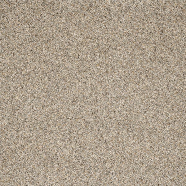 Home Decorators Collection Bradmore II - Path - Beige 60 oz. SD Polyester Texture Installed Carpet