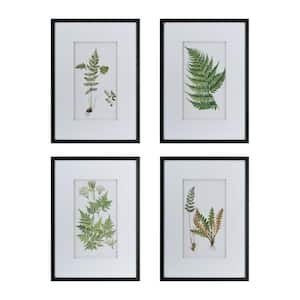 Botanical Fern White Framed Wall Art (Set of 4)