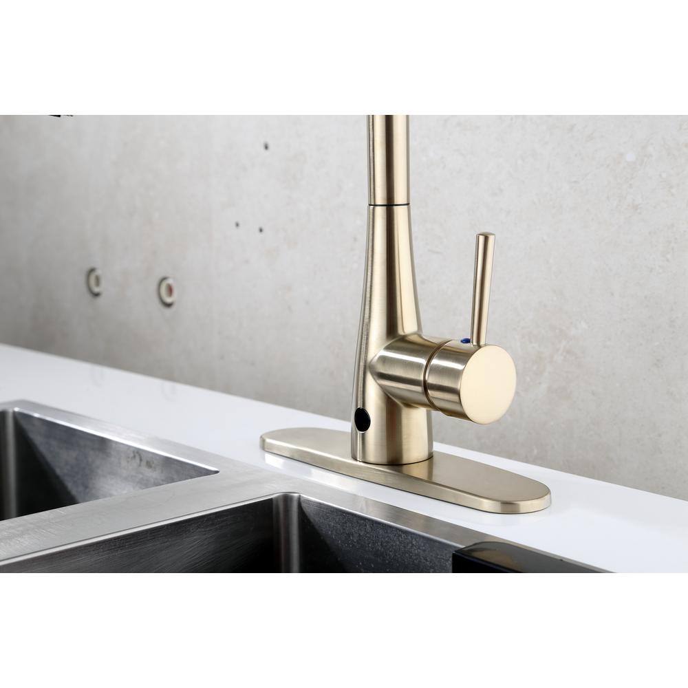 Norwich Matte Gold High-Arc Pull-Down Kitchen Faucet