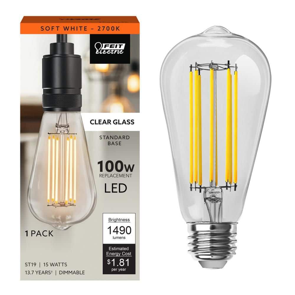 Feit Electric 100-Watt Equivalent ST19 Dimmable Clear Glass E26 Vintage Edison LED Light Bulb, Soft White 2700K (1-Pack)