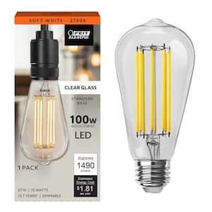 Feit Electric 100-Watt Equivalent ST19 Dimmable Cage Filament