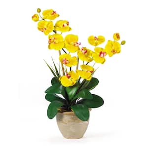 25 in. Double Stem Phalaenopsis Silk Orchid Flower Arrangement