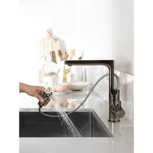 Ascend Single-Handle Pull Out Sprayer Kitchen Faucet with Integrated Pull Up and CeraDox Technology in Pewter