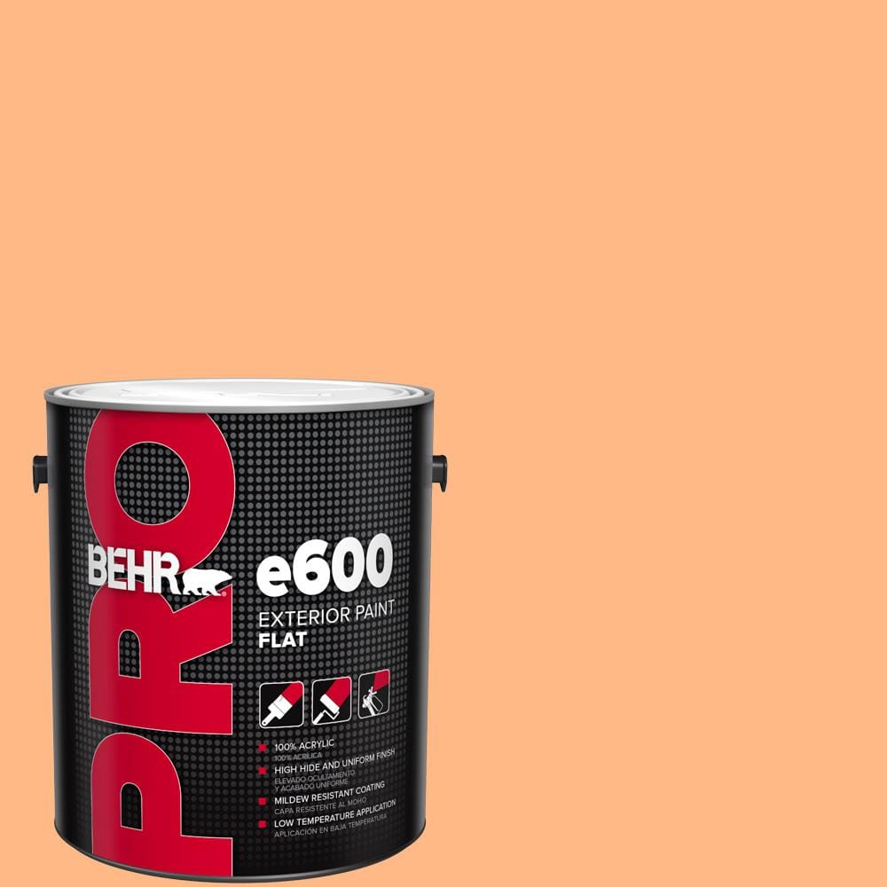 1 gal. #250B-4 Coral Gold Flat Exterior Paint price history on PriceWatchPro