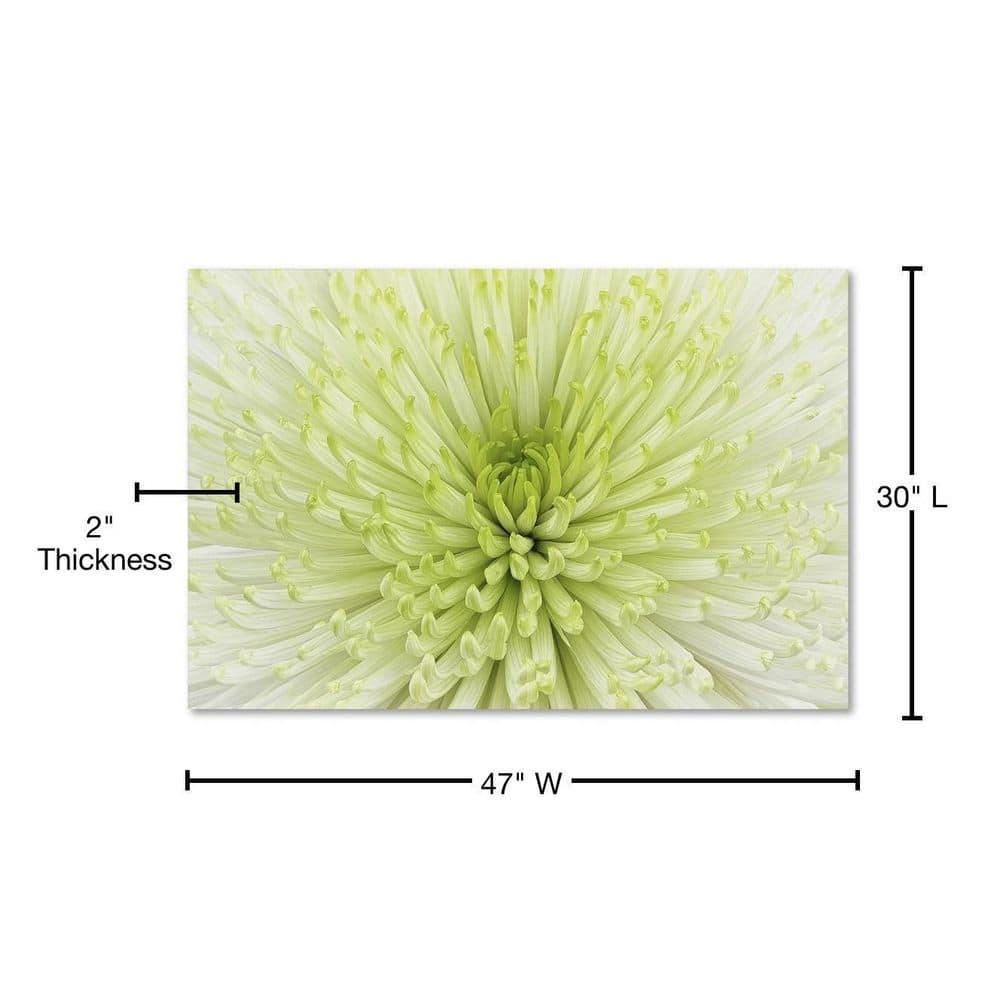 Large White and Green Floral Canvas Art