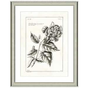 "Hibiscus rose lithograph" Framed Archival Paper Wall Art (26 in. x 32 in. in full size)