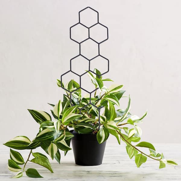 SenQWFa 15.94 inch Metal Honeycomb Shape Trellis for Potted Climbing Plants Indoor Outdoor Flower Vine 2 Pack