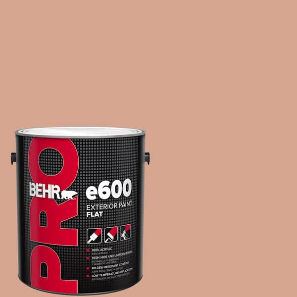 BEHR PRO 1 gal. #240E-3 Coronado Dunes Flat Paint