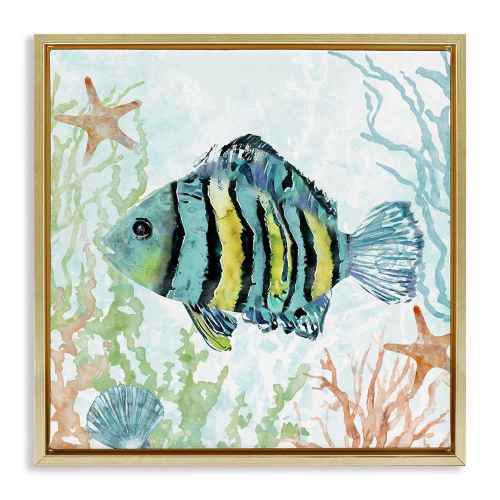 Striped Fish Underwater by Carol Robinson Gold Floater Frame Animal Graphic Art Print 25 in. x 25 in. price history on PriceWatchPro