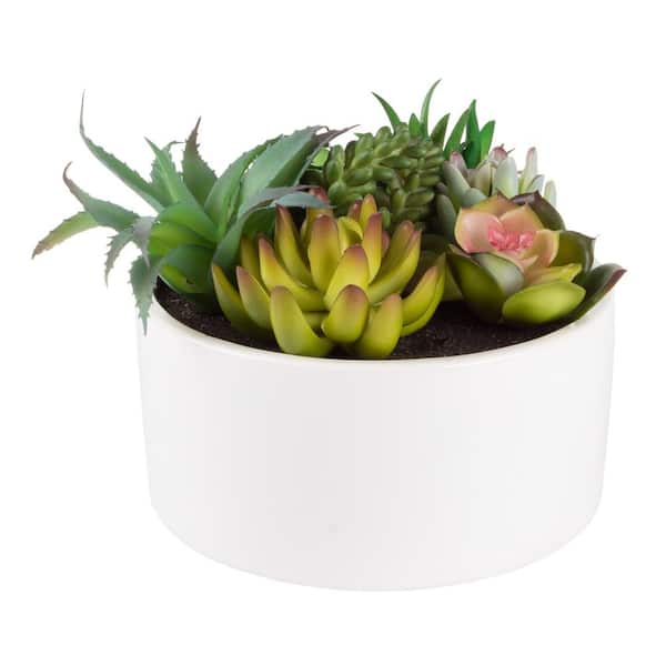 Pure Garden 6 in. Artificial Succulent Plant Arrangement in White Glazed Ceramic Pot