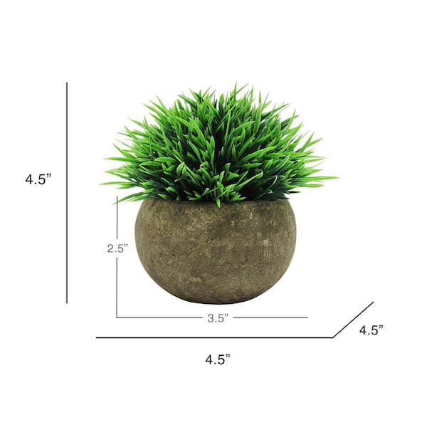  ZJCilected Small Artificial Air Plants Look Real Succulants Plants  Faux Greenery Plants Bromeliads for Garden Home Office Decoration (Green  Flocking Air Plants) : Home & Kitchen