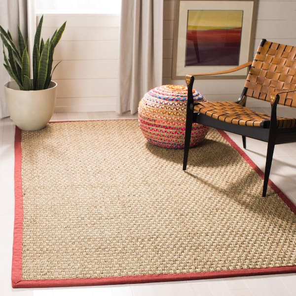Natural Fiber Natural/Red 3 ft. x 5 ft. Border Woven Area Rug
