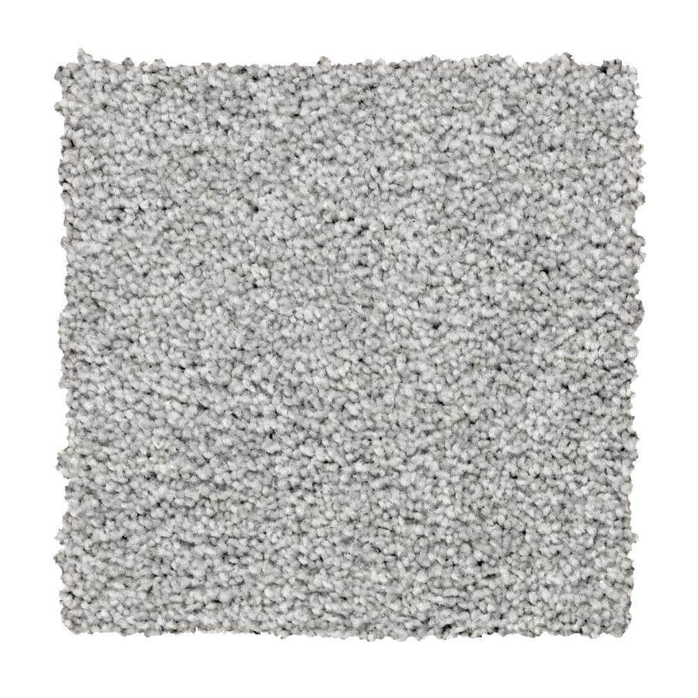 8 in. x 8 in. Texture Carpet Sample - Silver Mane II -Color Bonita price history on PriceWatchPro