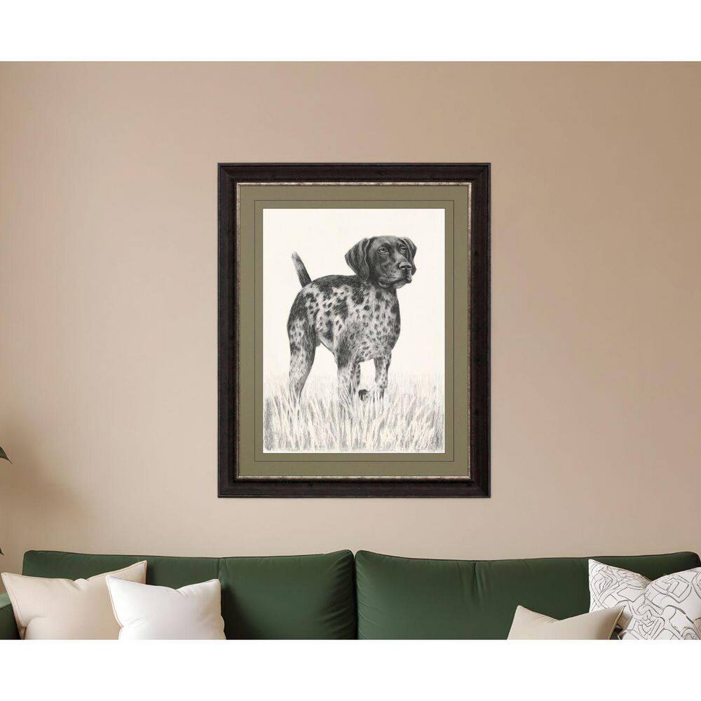 1 Piece Framed Graphic Print Animals 44.00 in. x 36.00 in. price history on PriceWatchPro