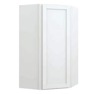 Courtland 24 in. W x 24 in. D x 42 in. H Assembled Shaker Diagonal Corner Wall Kitchen Cabinet in Polar White