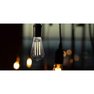 100-Watt Equivalent ST19 Dimmable Straight Filament Amber Glass E26 Vintage Edison LED Light Bulb, Warm White 3000K