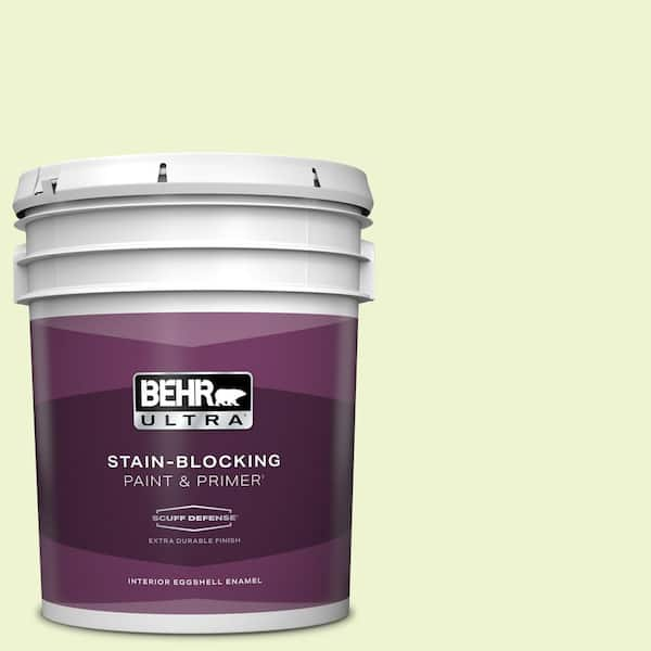 BEHR ULTRA 5 gal. #420A-1 Green Shimmer Extra Durable Eggshell Enamel Interior Paint & Primer