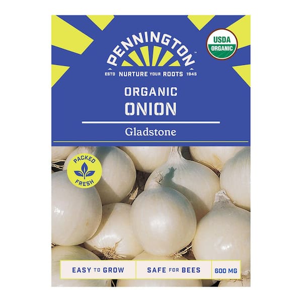 Organic Gladstone Onion Vegetable Seeds