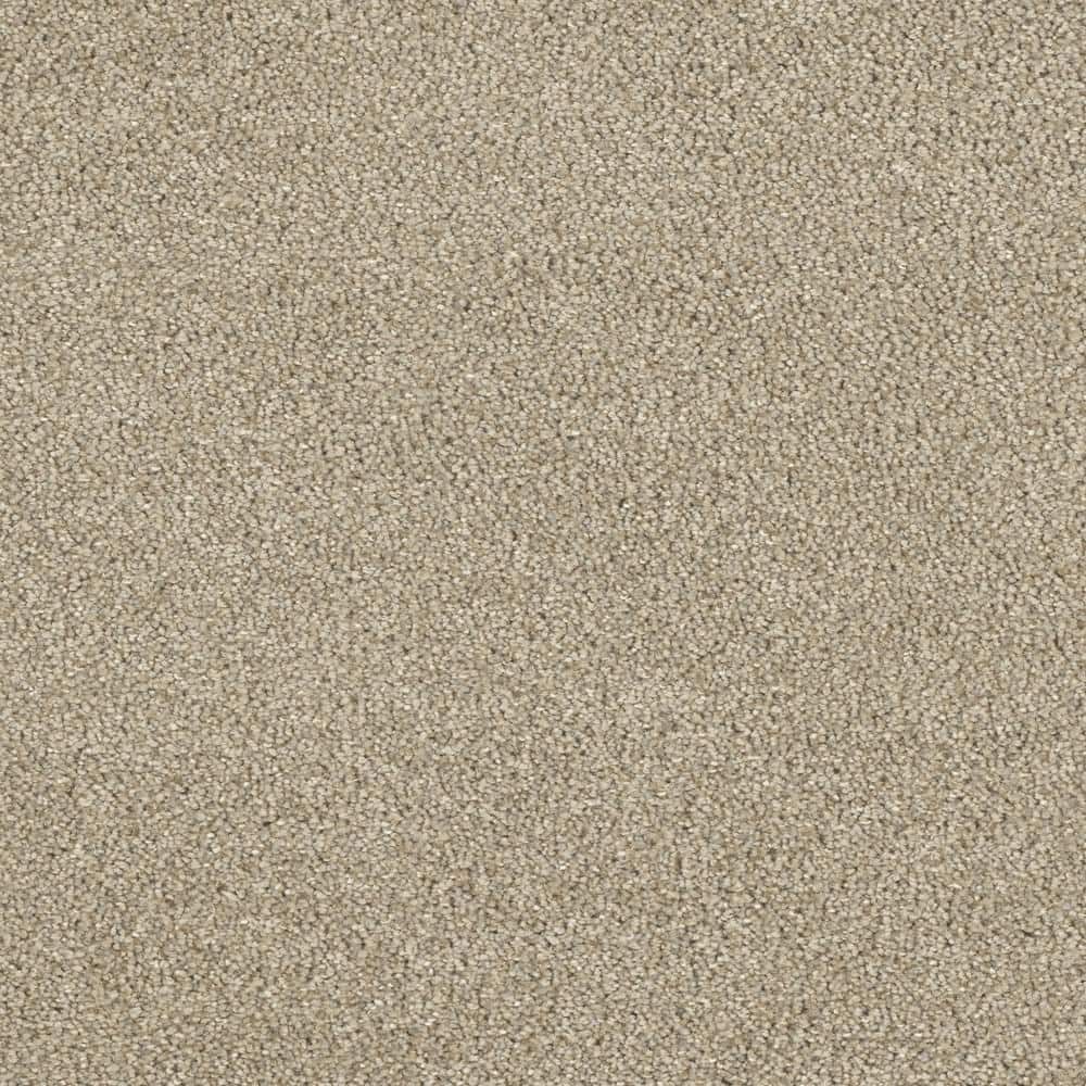 8 in. x  8 in. Texture Carpet Sample - Moonlight -Color Beam price history on PriceWatchPro